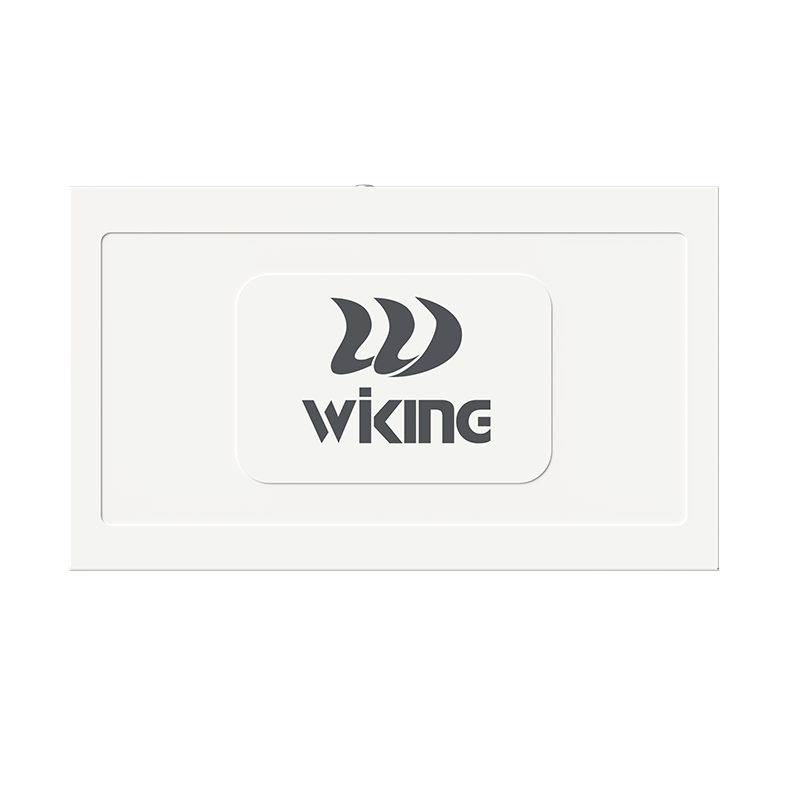 WIKING 8FE+2FE uplink 250m Long Range PoE Switch with 8 PoE Port WK-PS210