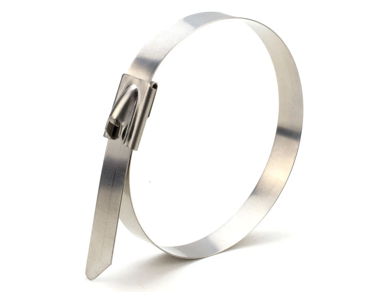 Stainless Steel Cable Tie 4.6MM * 300MM | 316 Grade | 100 PCS